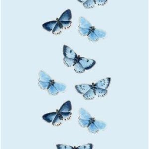 Meet your Posher, Faith